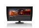EIZO CG319X-BK - monitor LCD 32