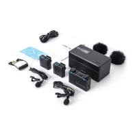 Hollyland Lark 150  Dual Wireless audio transmission kit